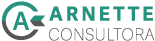 Arnette Consultora